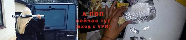 прущие крисы Вяземский